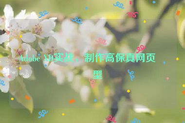 Adobe XD實戰(zhàn)，制作高保真網(wǎng)頁原型