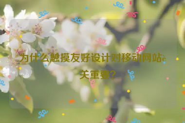 為什么觸摸友好設(shè)計(jì)對(duì)移動(dòng)網(wǎng)站至關(guān)重要？