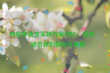 網(wǎng)站多語言實(shí)現(xiàn)方案對比，選擇最適合你的國際化策略