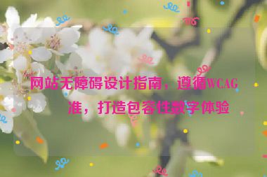 網(wǎng)站無障礙設(shè)計指南，遵循WCAG標準，打造包容性數(shù)字體驗