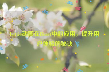 Lottie動(dòng)畫在React中的應(yīng)用，提升用戶體驗(yàn)的秘訣
