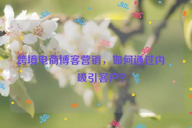 跨境電商博客營銷，如何通過內(nèi)容吸引客戶？