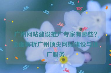 廣州網(wǎng)站建設推廣專家有哪些？全面解析廣州頂尖網(wǎng)站建設與推廣服務