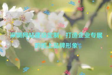 深圳網(wǎng)站建設(shè)定制，打造企業(yè)專(zhuān)屬的線上品牌形象