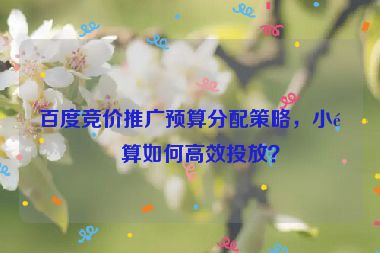 百度競(jìng)價(jià)推廣預(yù)算分配策略，小預(yù)算如何高效投放？