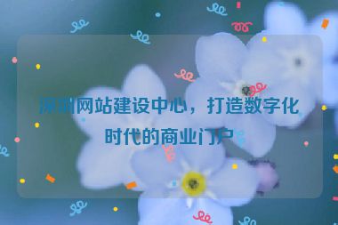 深圳網(wǎng)站建設(shè)中心，打造數(shù)字化時(shí)代的商業(yè)門(mén)戶