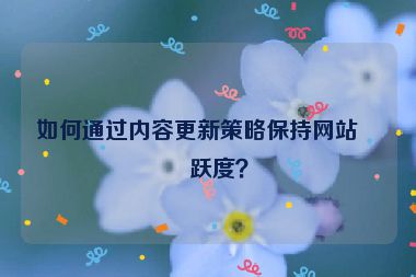 如何通過內(nèi)容更新策略保持網(wǎng)站活躍度？