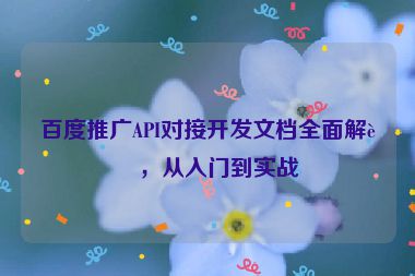 百度推廣API對接開發(fā)文檔全面解讀，從入門到實戰(zhàn)