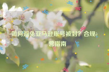 如何避免亞馬遜賬號被封？合規(guī)運營指南