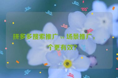 拼多多搜索推廣 vs 場景推廣，哪個(gè)更有效？