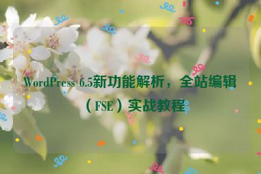 WordPress 6.5新功能解析，全站編輯（FSE）實(shí)戰(zhàn)教程
