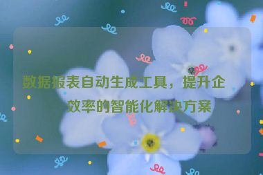 數(shù)據(jù)報(bào)表自動(dòng)生成工具，提升企業(yè)效率的智能化解決方案