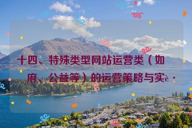 十四、特殊類型網(wǎng)站運(yùn)營類（如政府、公益等）的運(yùn)營策略與實(shí)踐