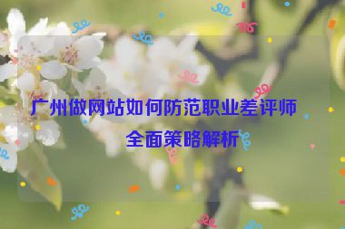 廣州做網(wǎng)站如何防范職業(yè)差評師？全面策略解析