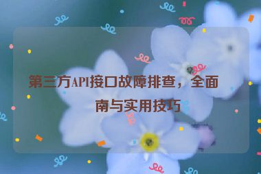 第三方API接口故障排查，全面指南與實用技巧