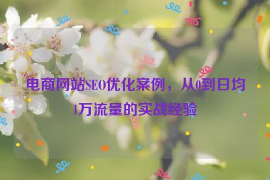 電商網(wǎng)站SEO優(yōu)化案例，從0到日均1萬流量的實(shí)戰(zhàn)經(jīng)驗(yàn)