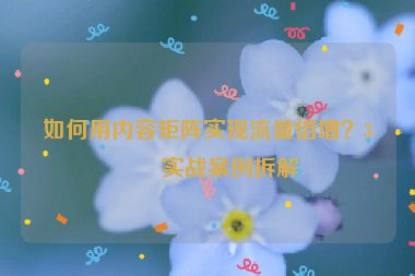 如何用內(nèi)容矩陣實現(xiàn)流量倍增？3個實戰(zhàn)案例拆解