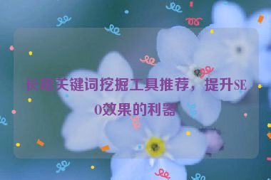 長尾關(guān)鍵詞挖掘工具推薦，提升SEO效果的利器
