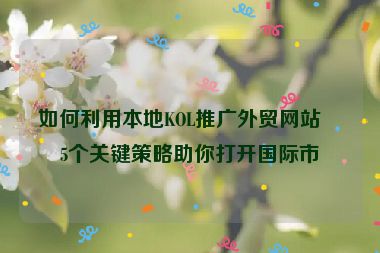 如何利用本地KOL推廣外貿(mào)網(wǎng)站？5個關(guān)鍵策略助你打開國際市場