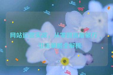 網(wǎng)站運(yùn)營(yíng)實(shí)戰(zhàn)，從零到流量破萬(wàn)的引流策略全解析