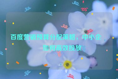 百度營銷預(yù)算分配策略，中小企業(yè)如何高效投放