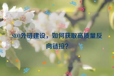 SEO外鏈建設(shè)，如何獲取高質(zhì)量反向鏈接？