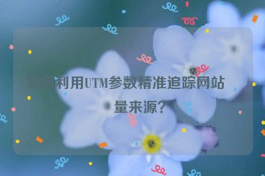 如何利用UTM參數(shù)精準追蹤網(wǎng)站流量來源？