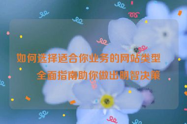 如何選擇適合你業(yè)務(wù)的網(wǎng)站類型？全面指南助你做出明智決策