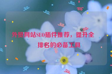 外貿(mào)網(wǎng)站SEO插件推薦，提升全球排名的必備工具