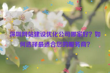 深圳網(wǎng)站建設(shè)優(yōu)化公司哪家好？如何選擇最適合您的服務(wù)商？