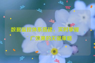 數(shù)據(jù)監(jiān)控體系搭建，實(shí)時(shí)掌握推廣效果的關(guān)鍵策略