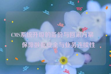 CMS系統(tǒng)升級(jí)的備份與回滾方案，保障數(shù)據(jù)安全與業(yè)務(wù)連續(xù)性