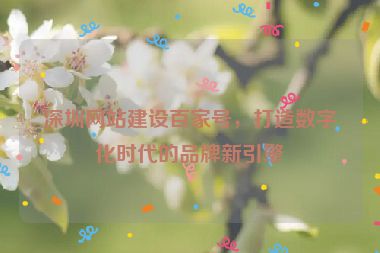 深圳網(wǎng)站建設(shè)百家號(hào)，打造數(shù)字化時(shí)代的品牌新引擎