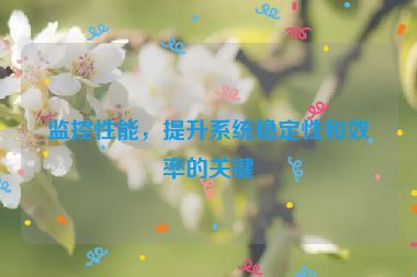 監(jiān)控性能，提升系統(tǒng)穩(wěn)定性和效率的關(guān)鍵