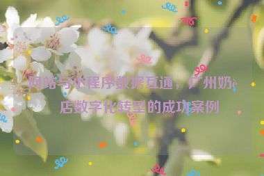 網(wǎng)站與小程序數(shù)據(jù)互通，廣州奶茶店數(shù)字化轉(zhuǎn)型的成功案例