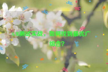 A/B測(cè)試實(shí)戰(zhàn)，如何找到最優(yōu)廣告組合？