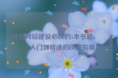 外貿(mào)網(wǎng)站建設(shè)必讀的5本書(shū)籍，從入門到精通的權(quán)威指南