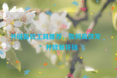 外鏈監(jiān)控工具推薦，如何高效發(fā)現(xiàn)并修復(fù)壞鏈