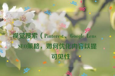 視覺搜索（Pinterest、Google Lens）SEO策略，如何優(yōu)化內(nèi)容以提升可見性