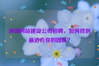 深圳網(wǎng)站建設(shè)公司招聘，如何找到最適合你的團(tuán)隊(duì)？