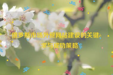 俄羅斯市場(chǎng)外貿(mào)網(wǎng)站建設(shè)的關(guān)鍵要求與成功策略