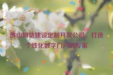 佛山網(wǎng)站建設(shè)定制開發(fā)公司，打造個性化數(shù)字門戶的專家