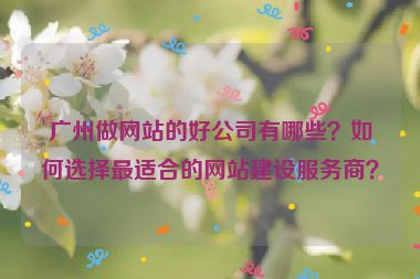 廣州做網(wǎng)站的好公司有哪些？如何選擇最適合的網(wǎng)站建設(shè)服務(wù)商？