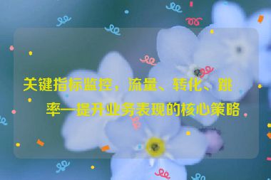 關鍵指標監(jiān)控，流量、轉化、跳出率—提升業(yè)務表現的核心策略