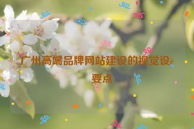 廣州高端品牌網(wǎng)站建設(shè)的視覺設(shè)計要點