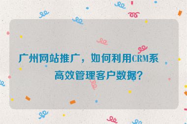 廣州網站推廣，如何利用CRM系統(tǒng)高效管理客戶數據？