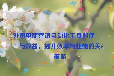 外貿(mào)電商營銷自動(dòng)化工具的使用與效益，提升效率與業(yè)績的關(guān)鍵策略