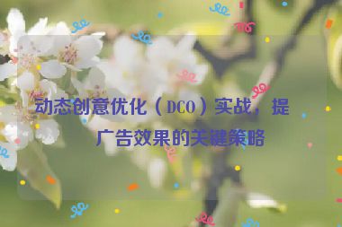 動態(tài)創(chuàng)意優(yōu)化（DCO）實戰(zhàn)，提升廣告效果的關(guān)鍵策略