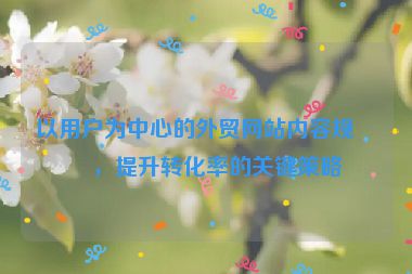 以用戶為中心的外貿(mào)網(wǎng)站內(nèi)容規(guī)劃，提升轉(zhuǎn)化率的關(guān)鍵策略