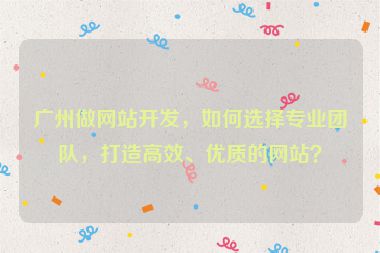 廣州做網(wǎng)站開發(fā)，如何選擇專業(yè)團隊，打造高效、優(yōu)質(zhì)的網(wǎng)站？